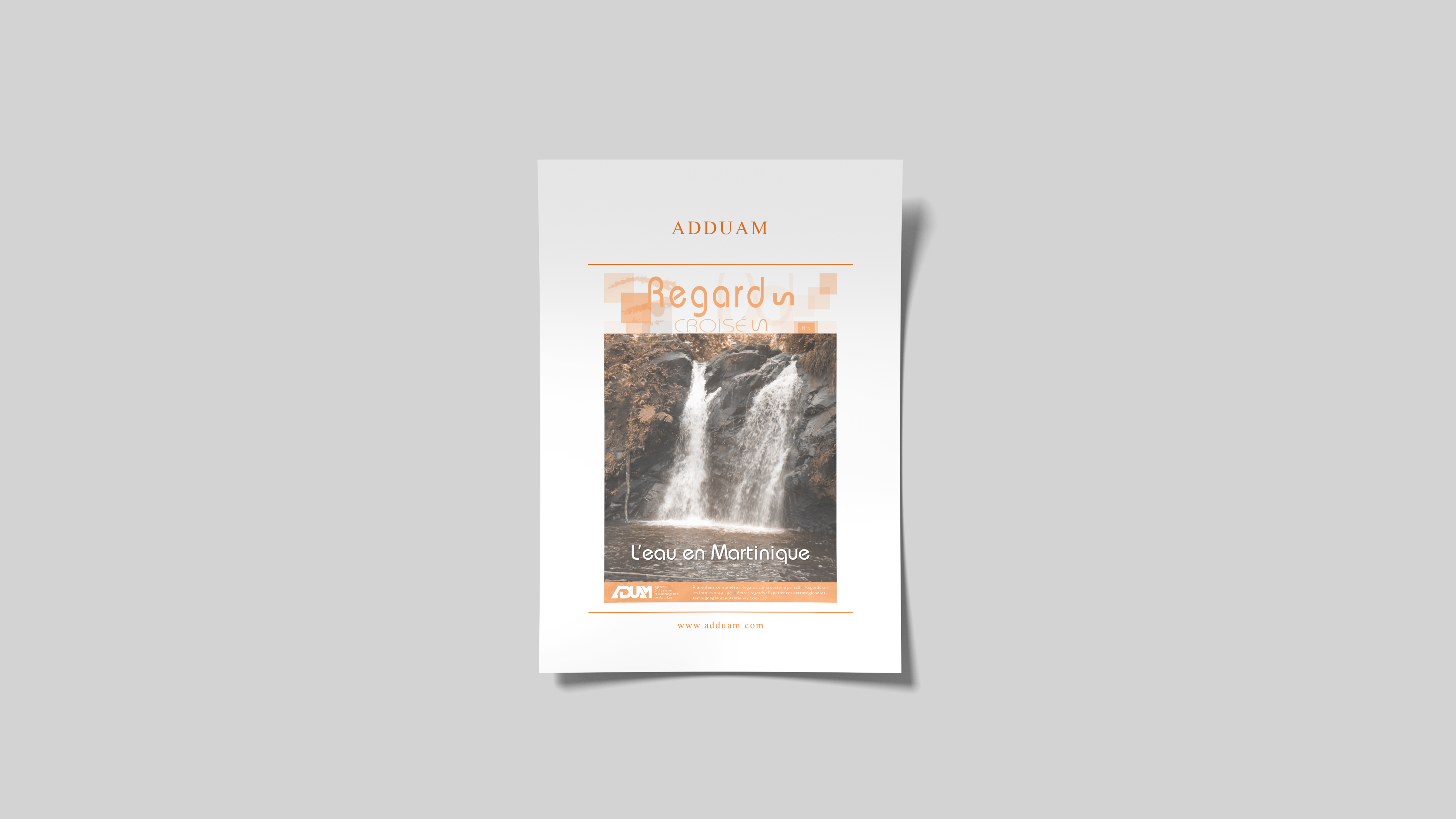 Regards Croisés No.5 L’eau en Martinique