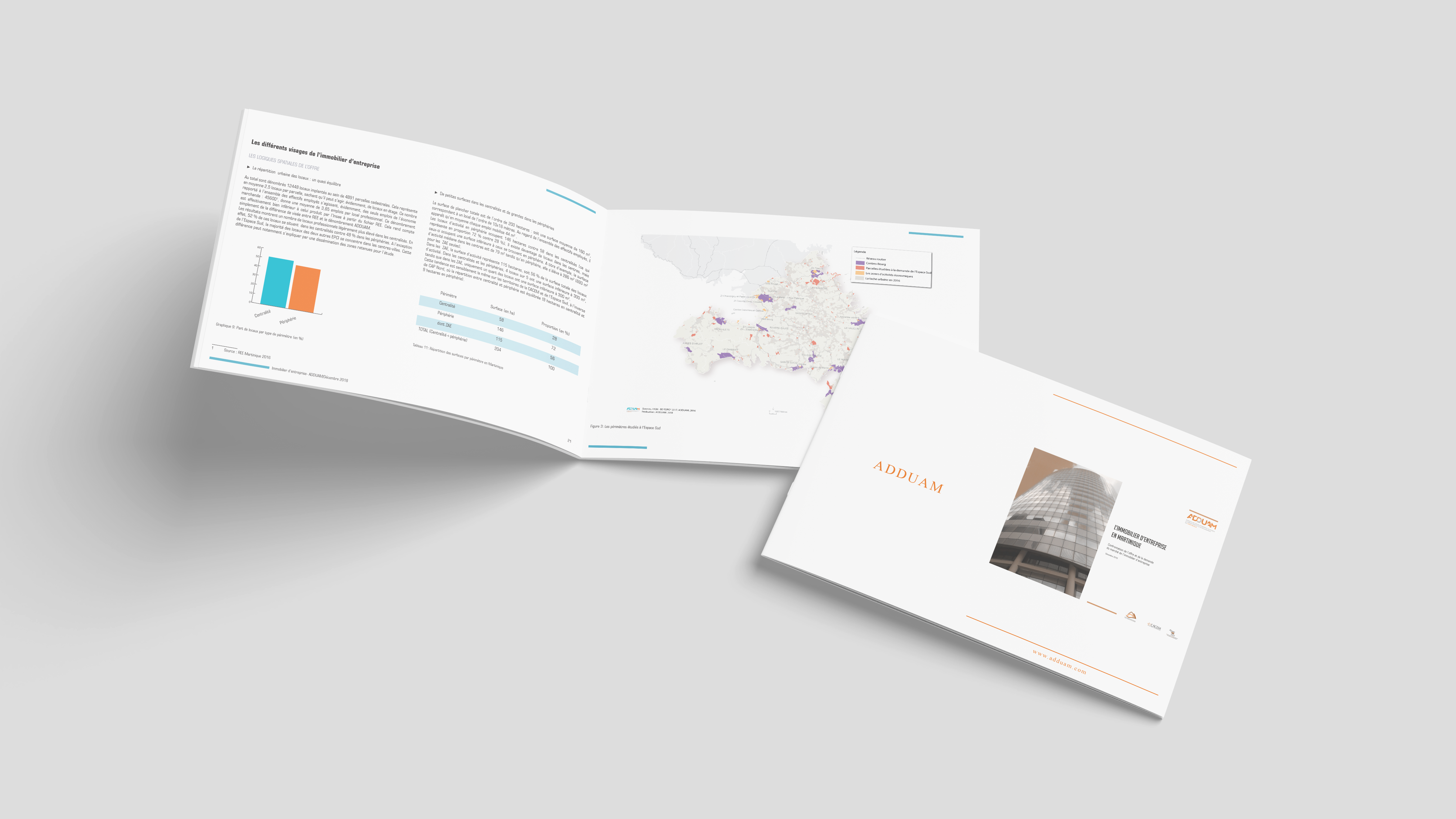 L’immobilier d’entreprise en Martinique Confrontation de l’offre et de la demande du marché de l’immobilier d’entreprise