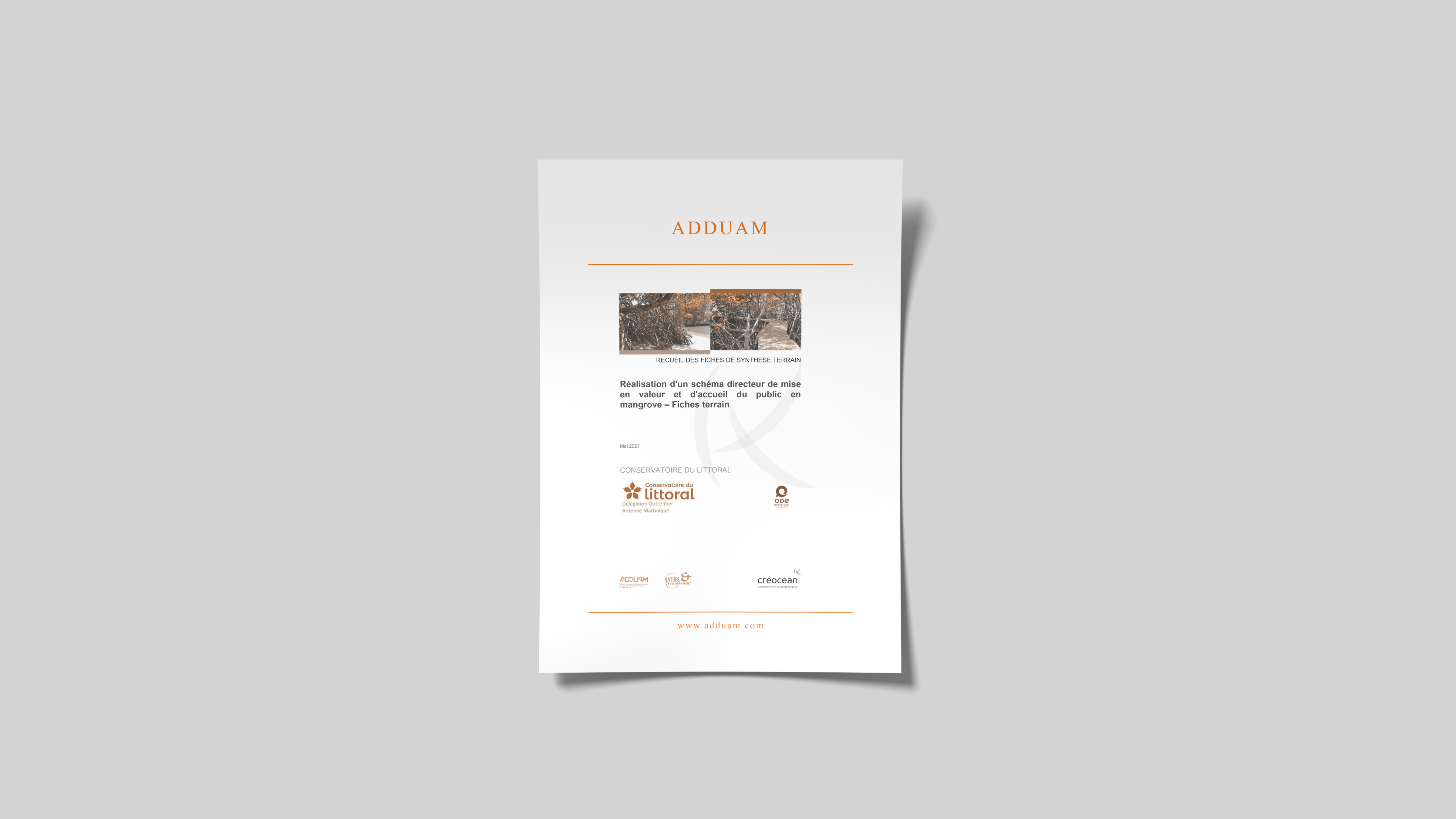 Réalisation d'un schéma directeur de mise en valeur et d'accueil du public en mangrove Phase 1 : Diagnostic actuel