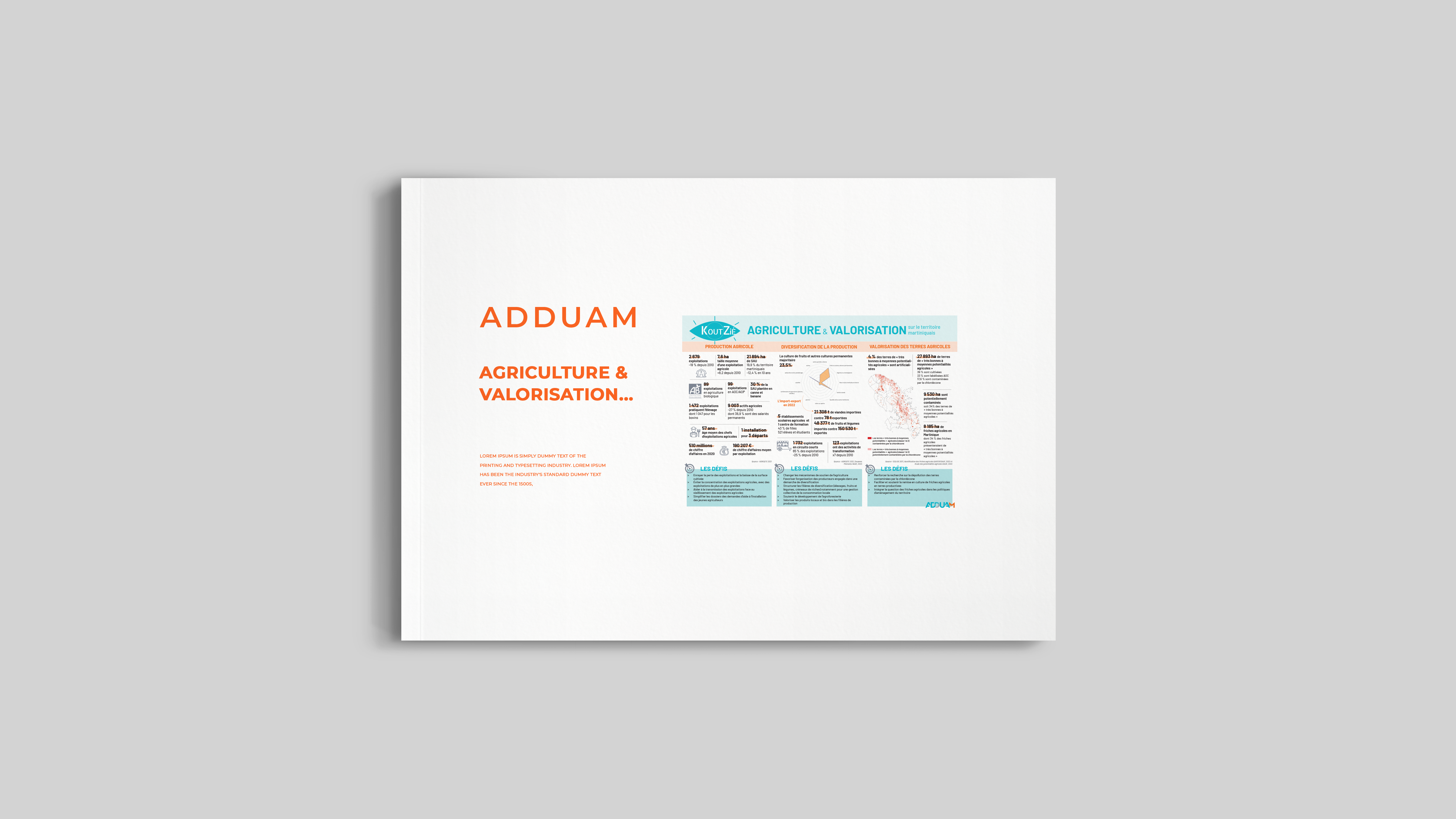 Agriculture & valorisation sur le territoire martiniquais