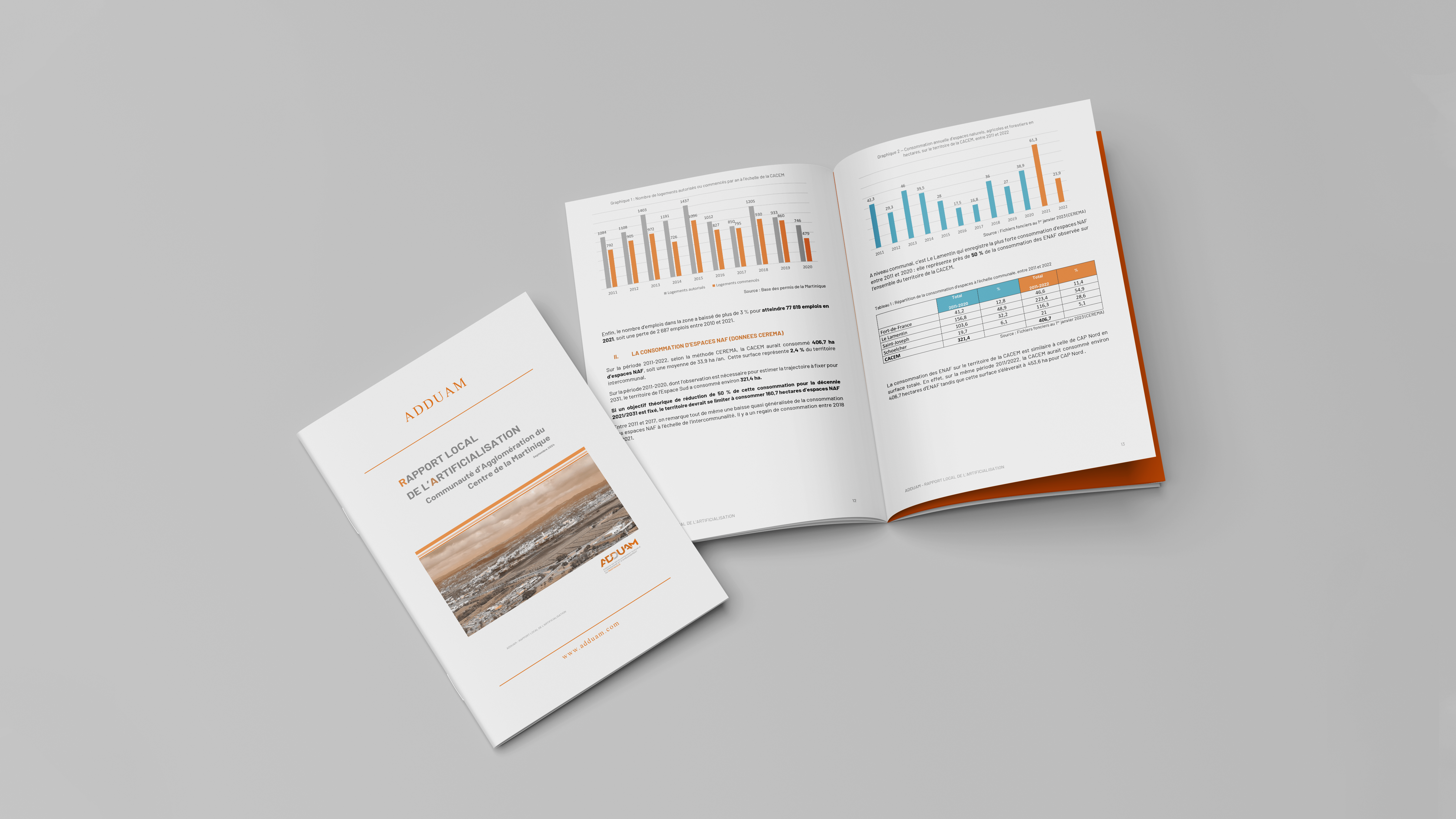 Rapport local de l'artificialisation CACEM