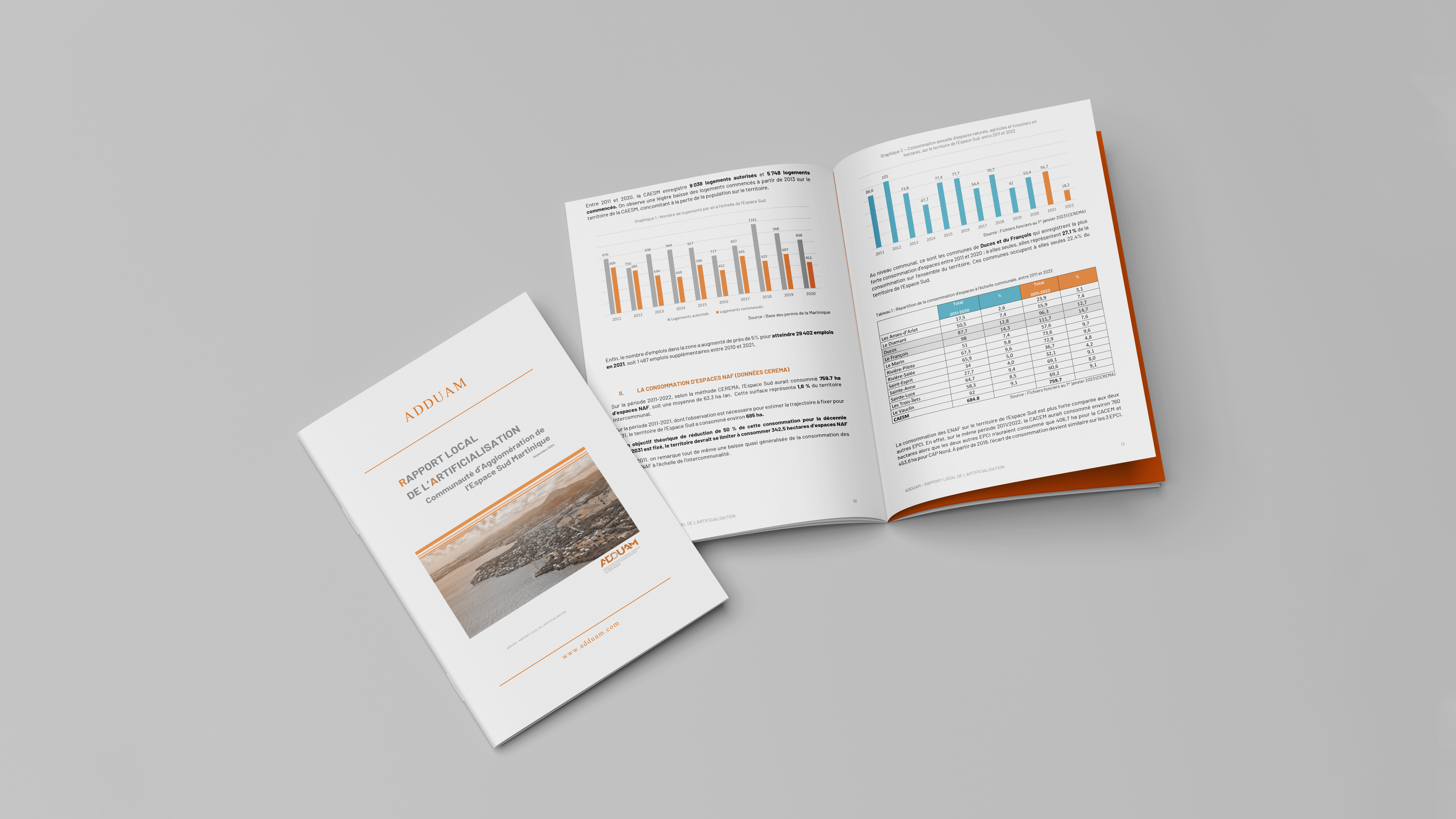 Rapport local de l'artificialisation CAESM