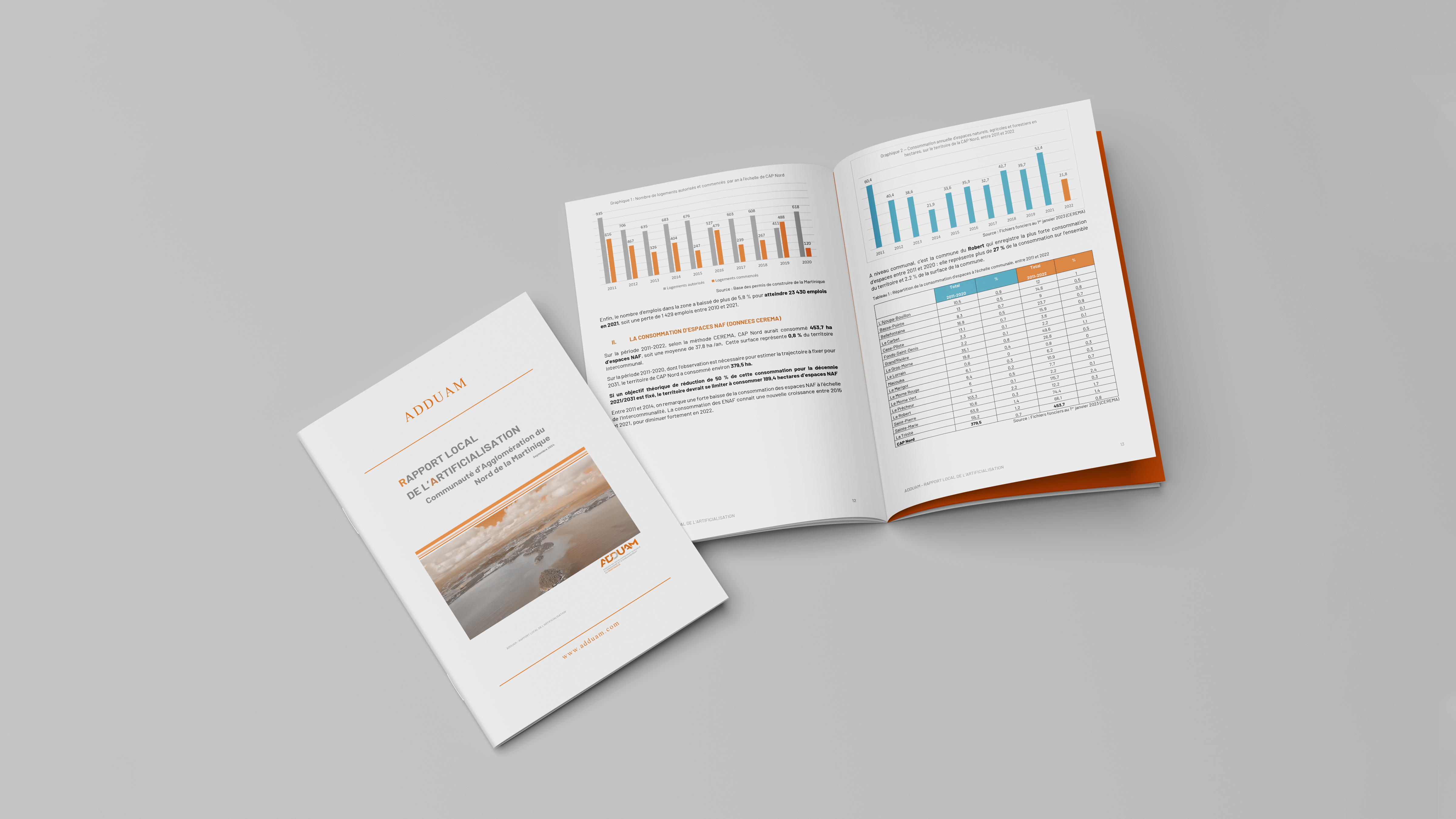 Rapport local de l'artificialisation CAP Nord