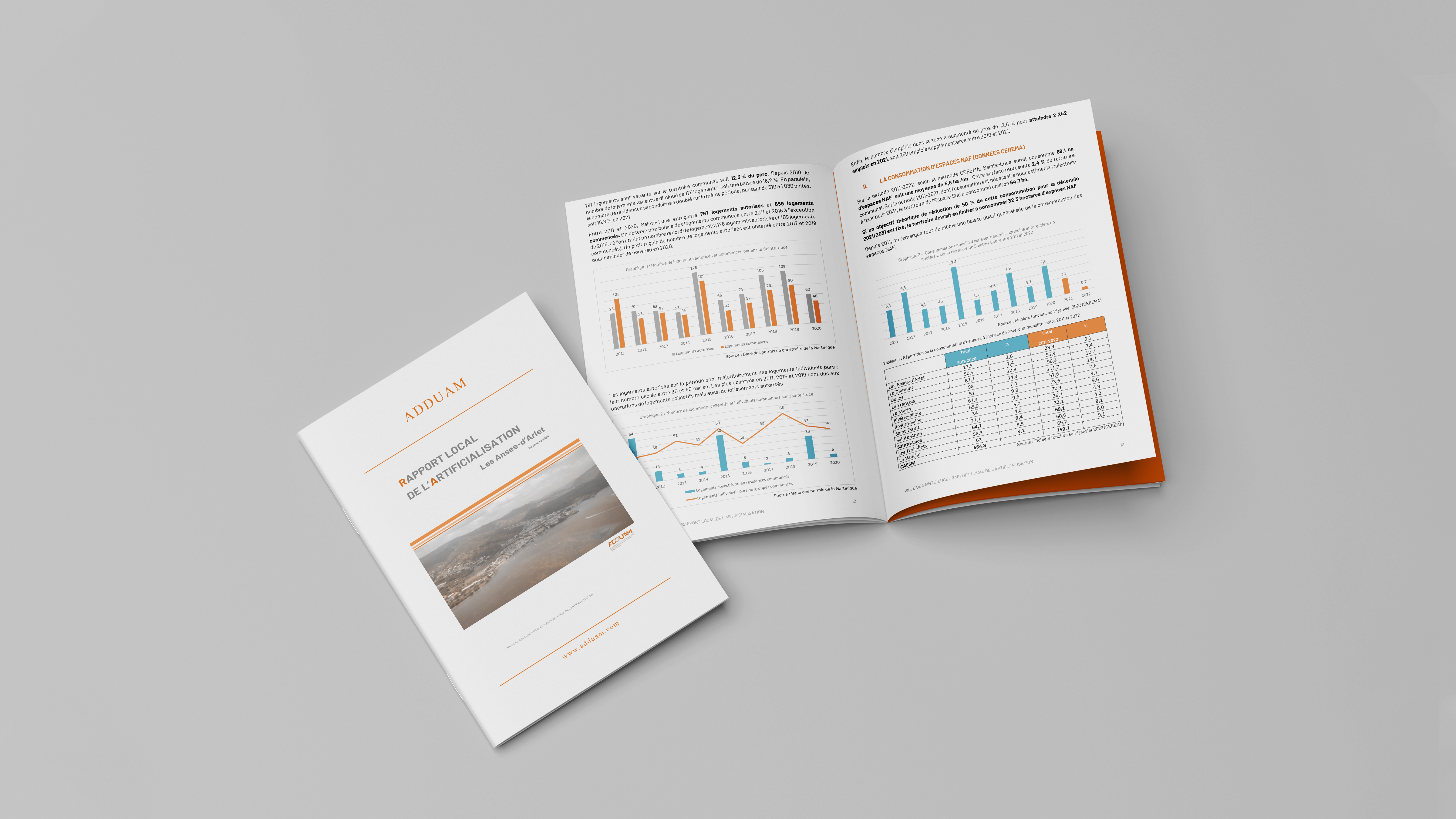 Rapport local de l'artificialisation Sainte-Luce
