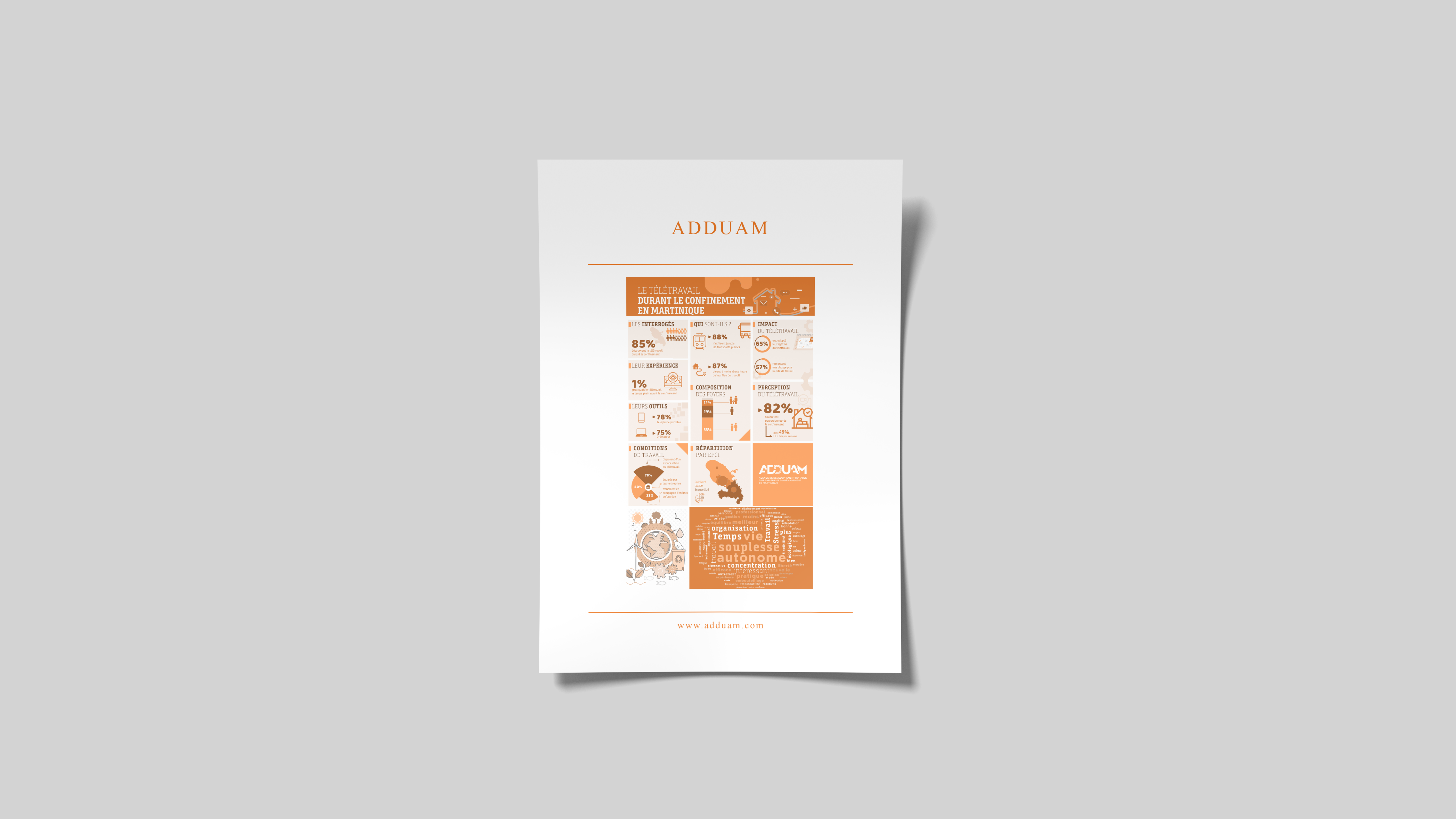 Le télétravail durant le confinement en Martinique - Poster